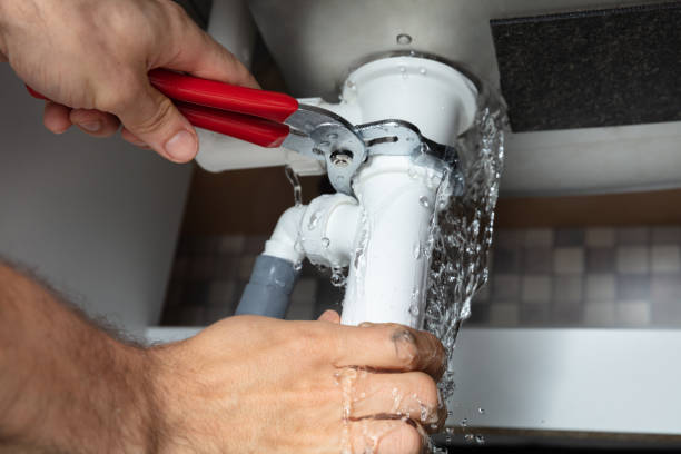 Best Water damage cleanup near me  in Lutherville, MD