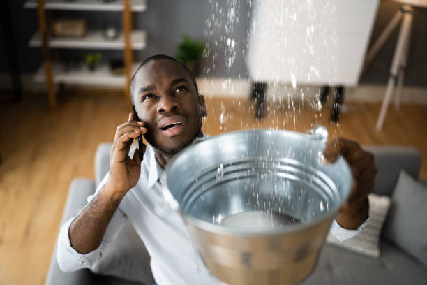 Best Water damage restoration near me  in Lutherville, MD
