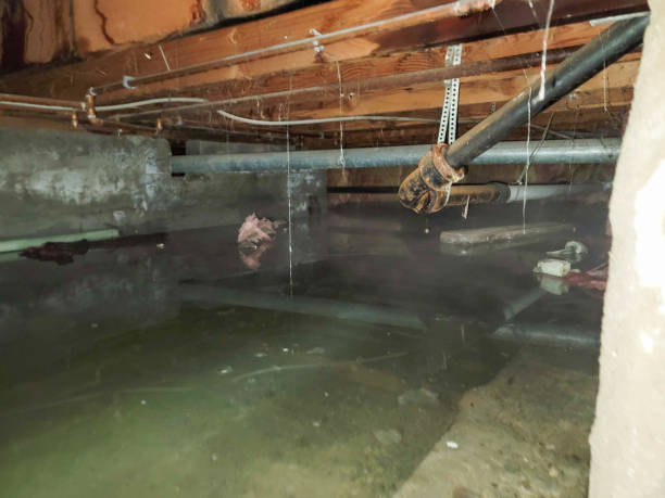 Best Ceiling water damage repair  in Lutherville, MD