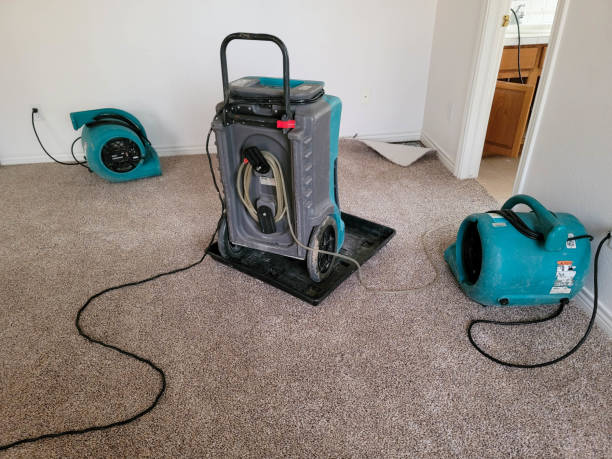 Best Flood damage cleanup  in Lutherville, MD