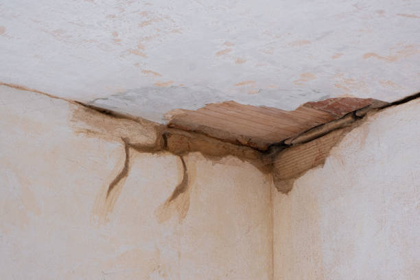 Best Ceiling water damage repair  in Lutherville, MD