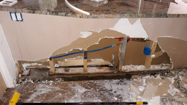 Best Carpet water damage restoration  in Lutherville, MD