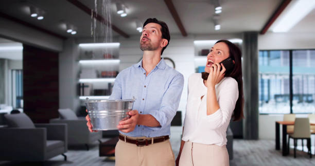 Best Flood restoration services  in Lutherville, MD